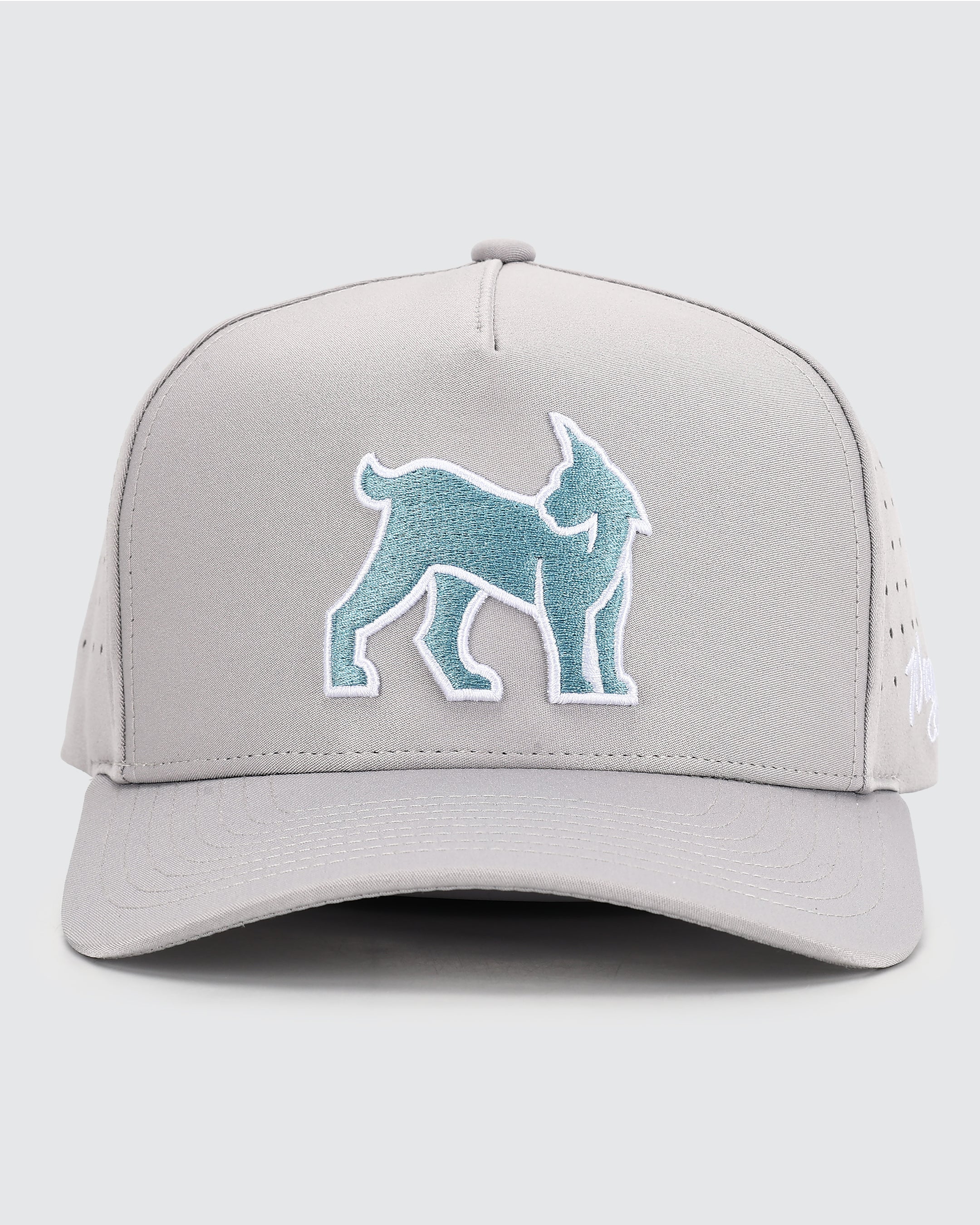 Links Lynx Hat