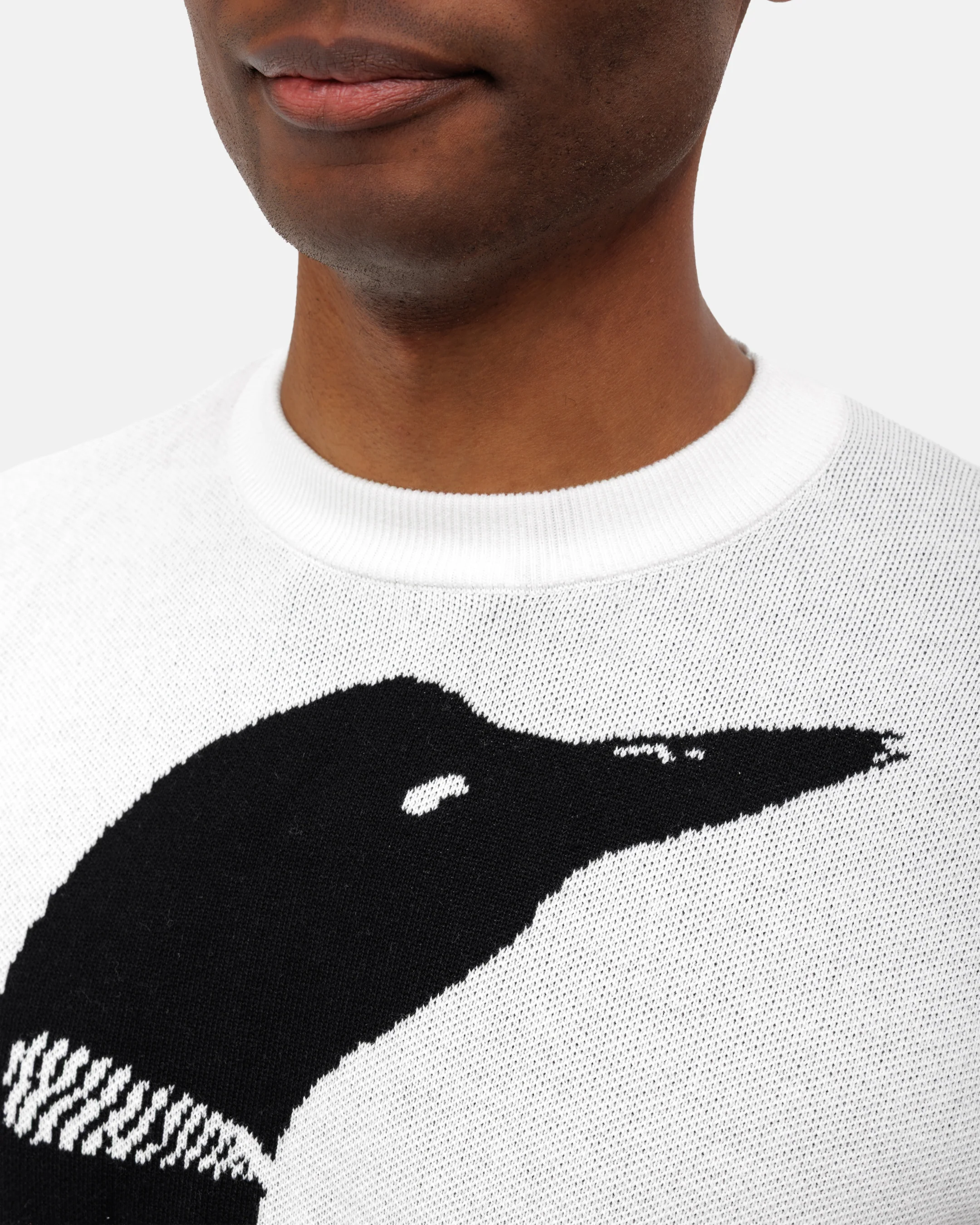 Loon Call Wildknit Sweater - Image 6