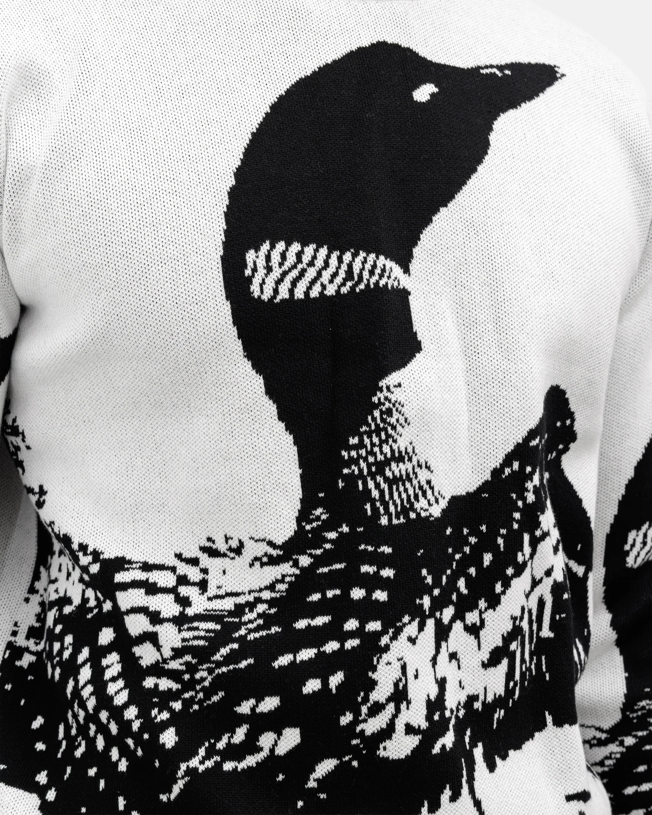 Loon Call Wildknit Sweater - Image 7